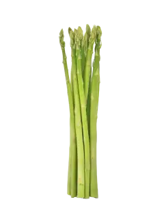 ESPARRAGOS KG