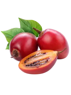 TOMATE DE ARBOL KG