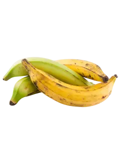 PLATANO KG