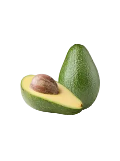 AGUACATE INJERTO KG