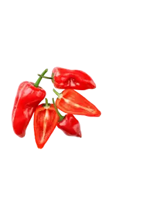 AJI PICANTE KG