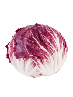 RADICCHIO KG