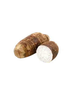 OCUMO CHINO KG