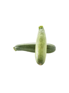 CALABACIN KG