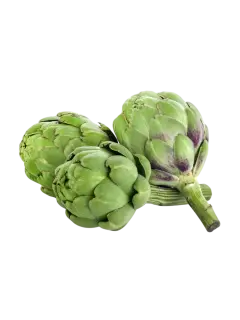 ALCACHOFA KG