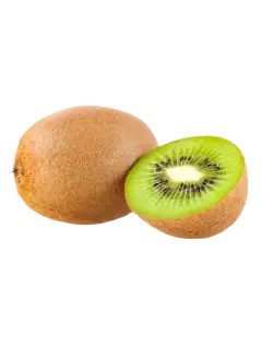 KIWI KG
