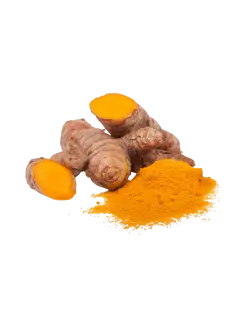 CURCUMA KG