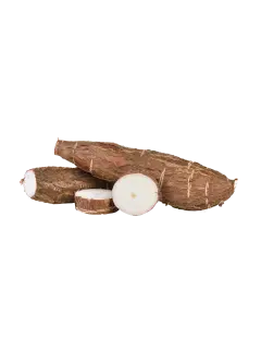 YUCA KG