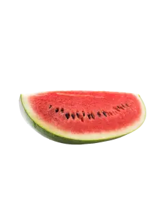 PATILLA KG
