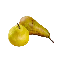 PERA IMPORTADA KG