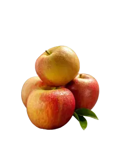 MANZANA GALA KG