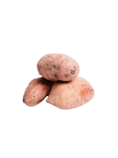 BATATA KG