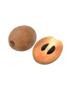 NÍSPERO KG