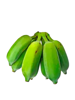 TOPOCHO KG