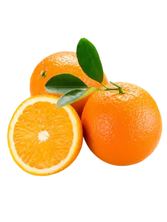 NARANJA IMPORTADA SIN SEMILLAS KG