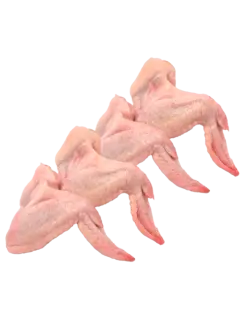 Alas de Pollo